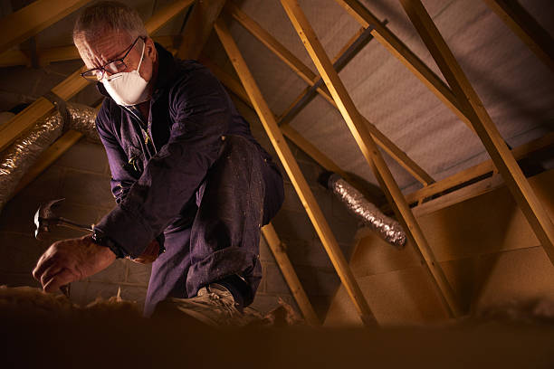 Best Spray Foam Insulation in Lumbine, CO
